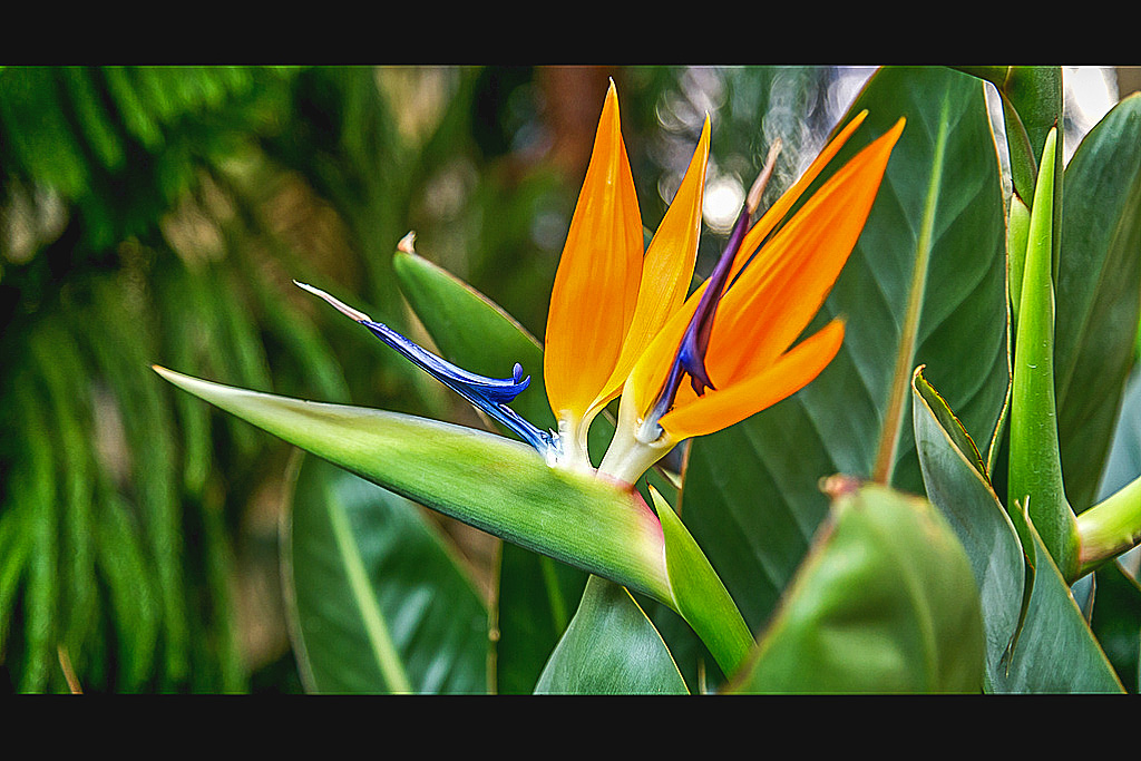 Erinnerungen an den Sommer