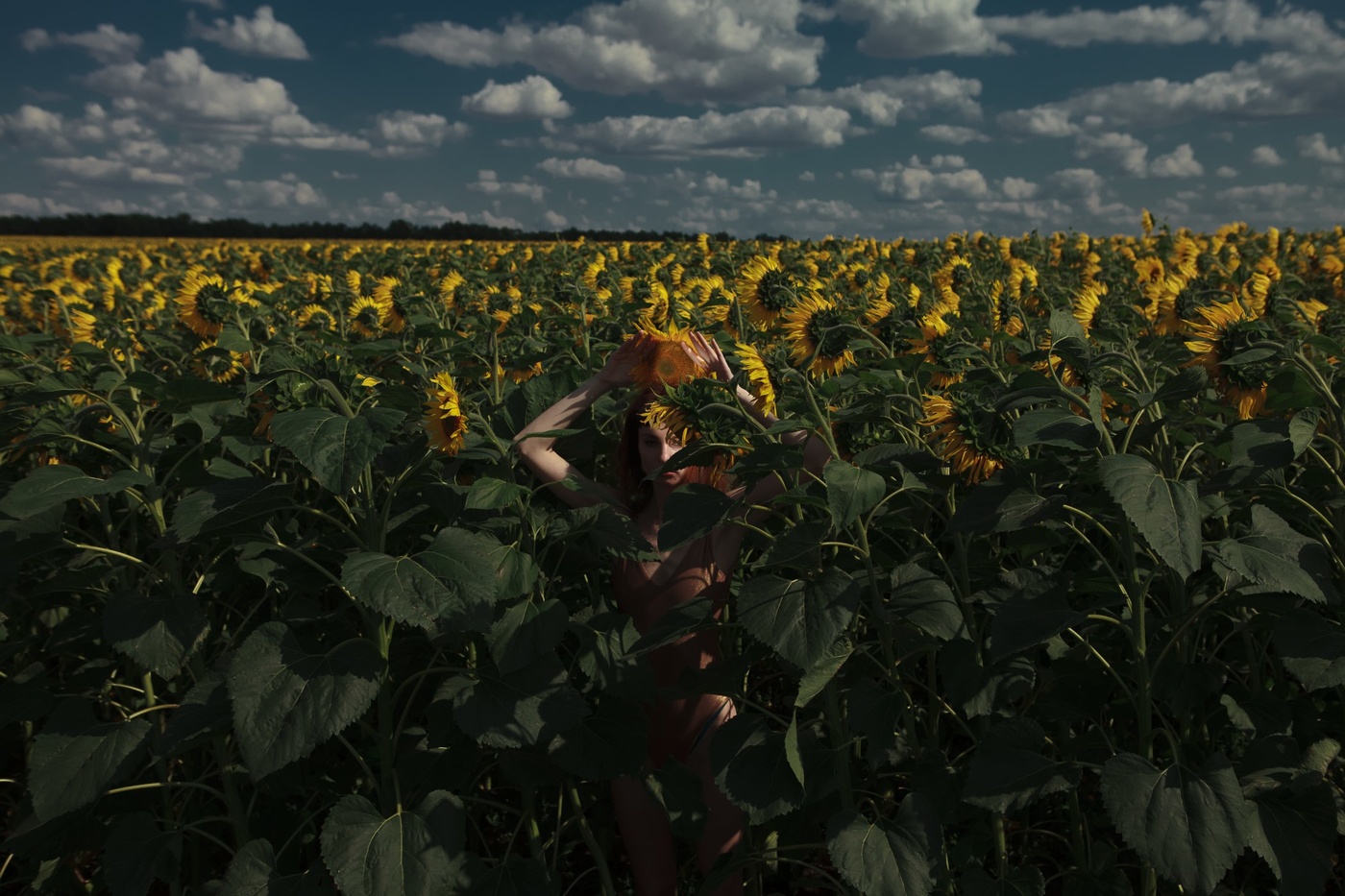 Step over the muster