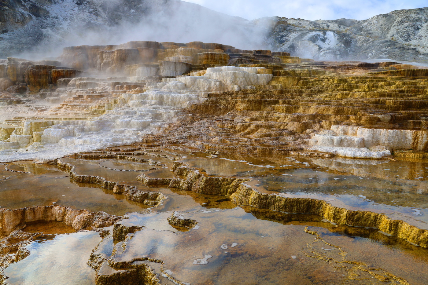 Mammoth Hot Springs