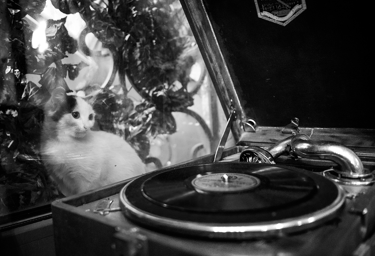 draußen vor dem Fenster ...