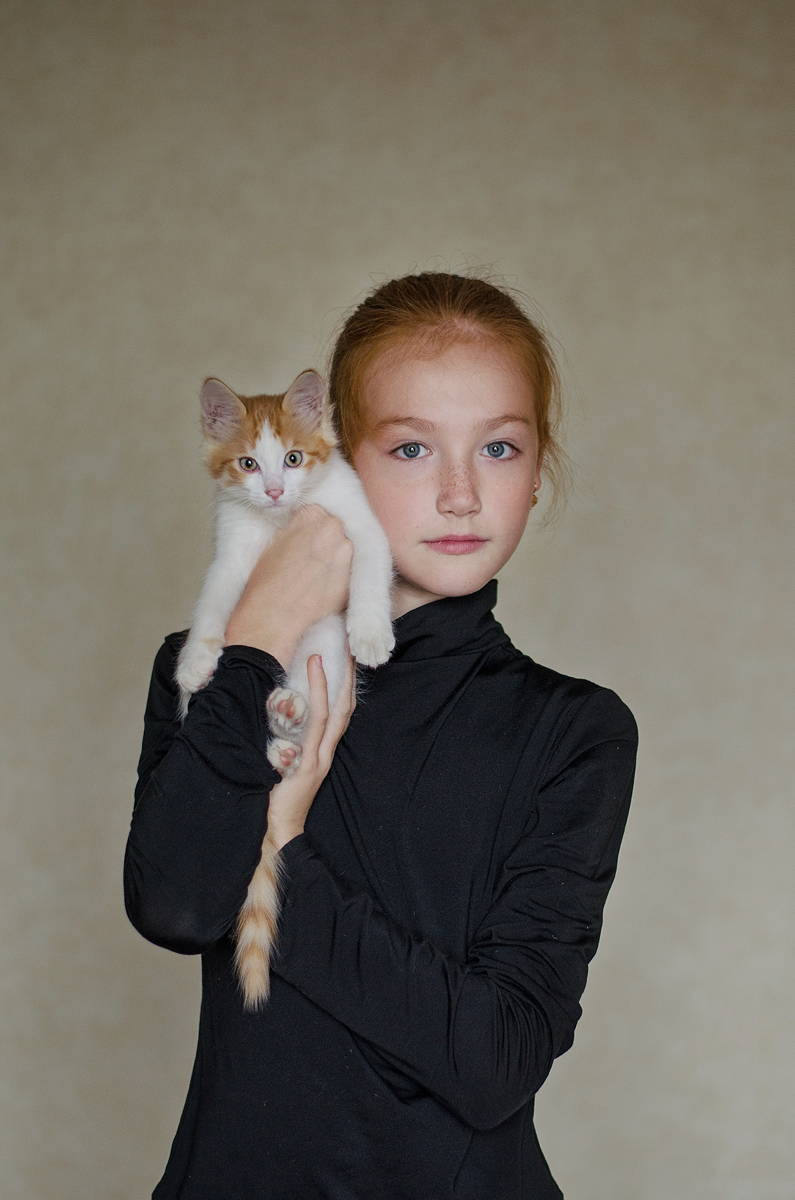 Portrait of a kitten