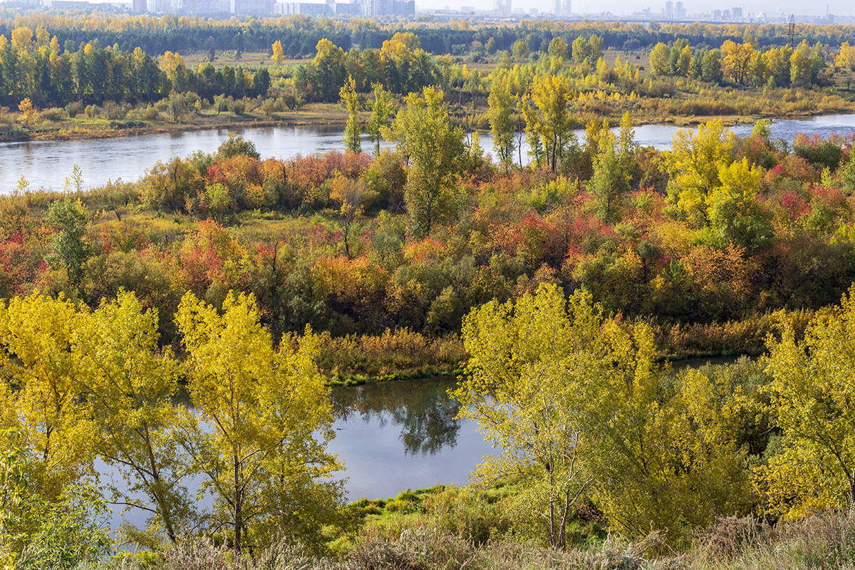 Die Palette der Herbst.
