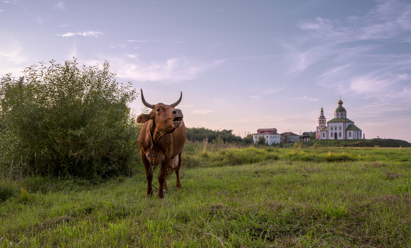 Zeit nach Hause zu gehen!