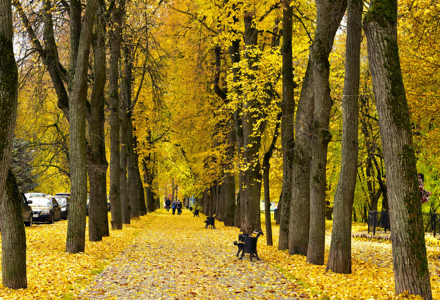 Goldene Allee