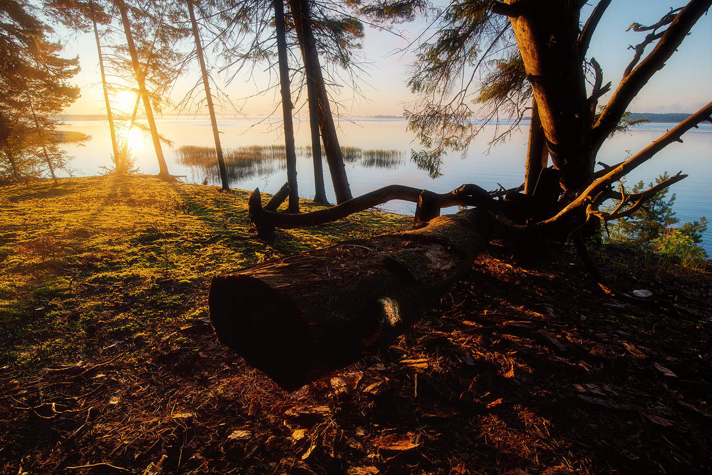 Mit den ersten Strahlen