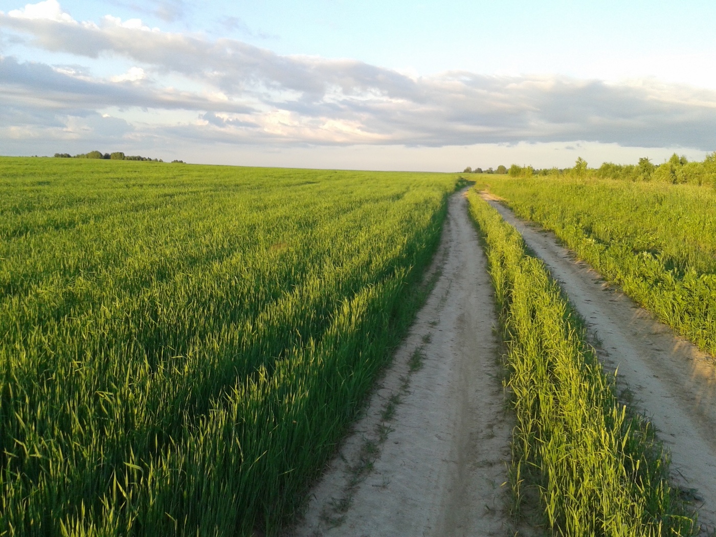 Die Straße im Sommer