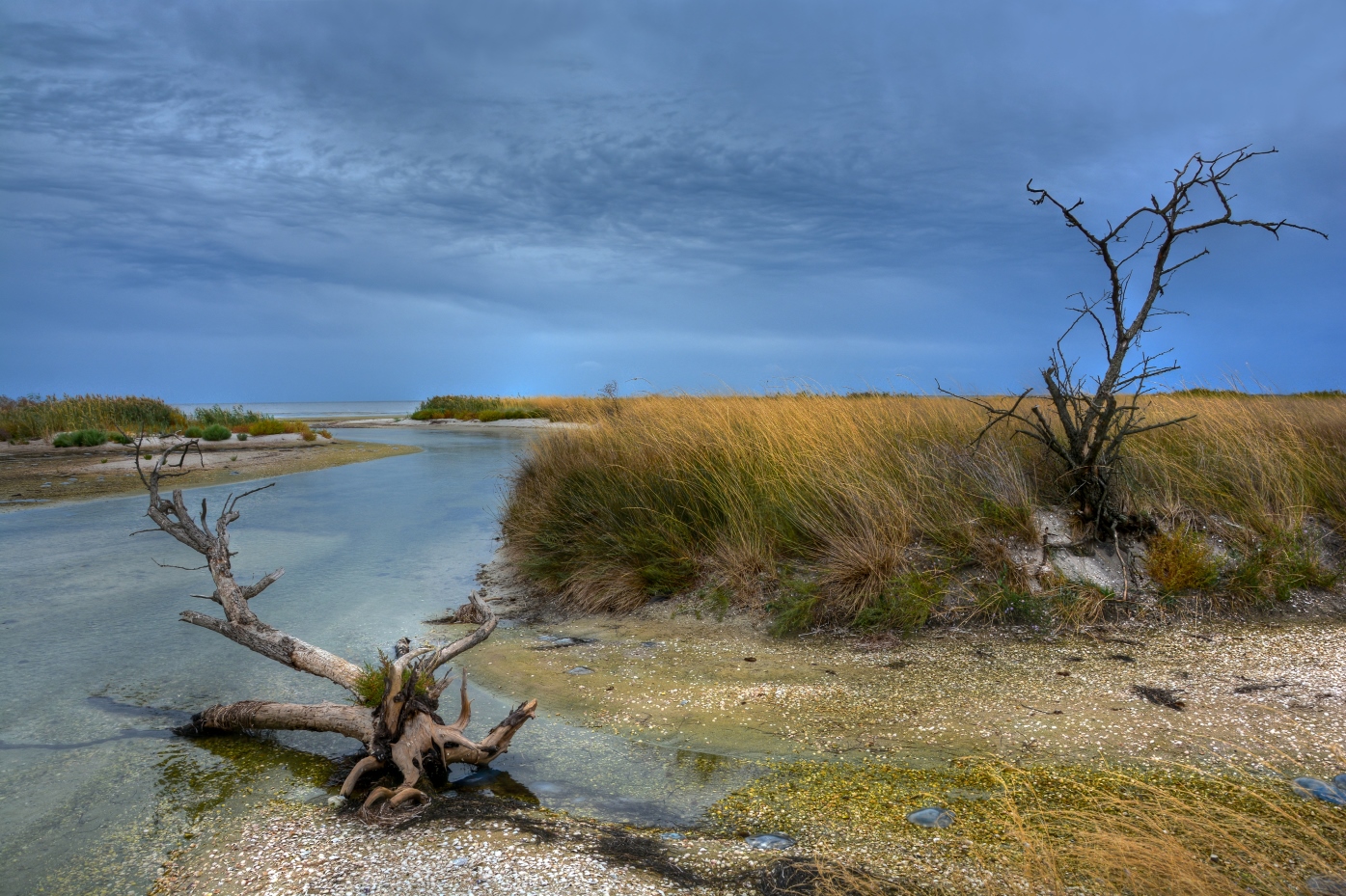 Der Fluss des Lebens