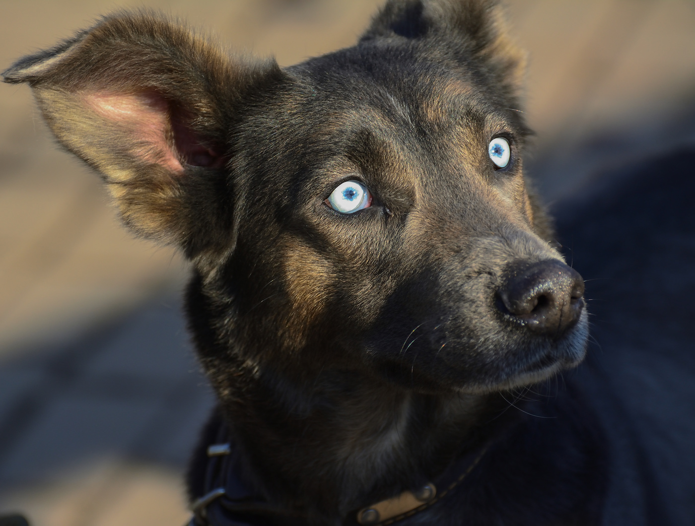 Porträt von einem Freund