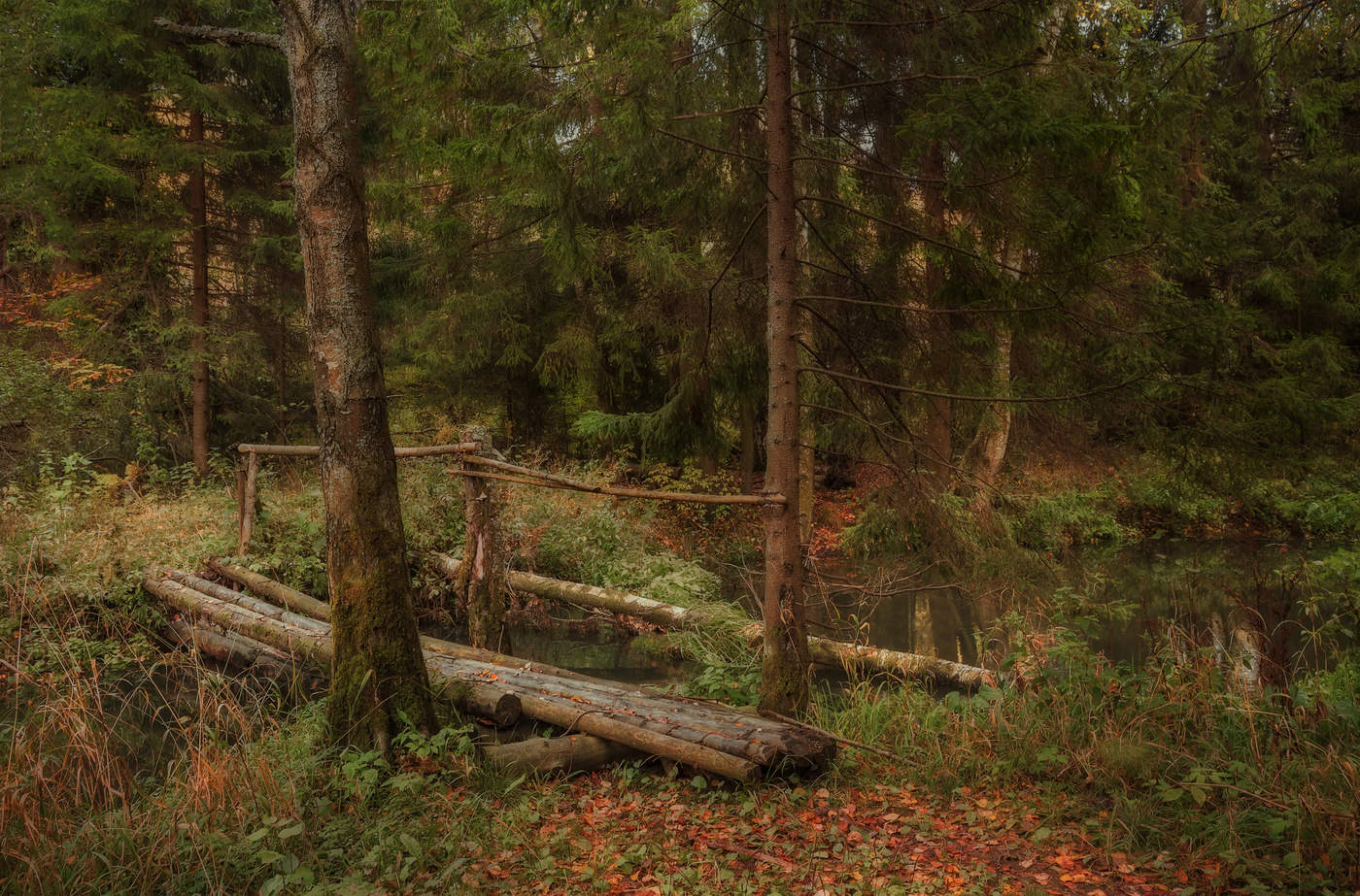Brücke im Herbst