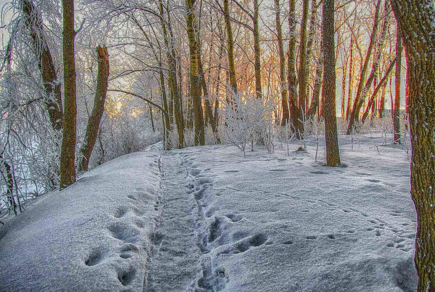 Sonnenaufgang über dem Fluss