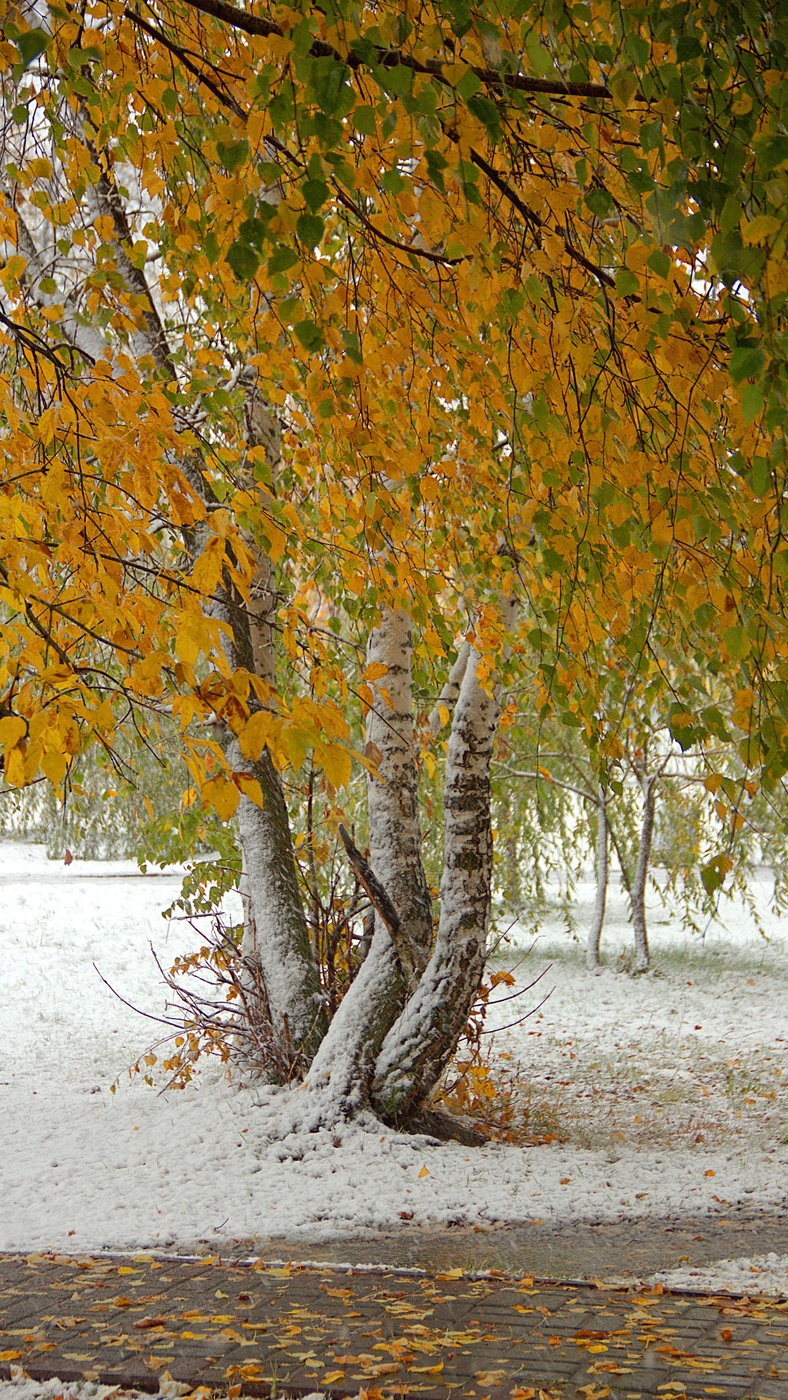 Schnee im Oktober