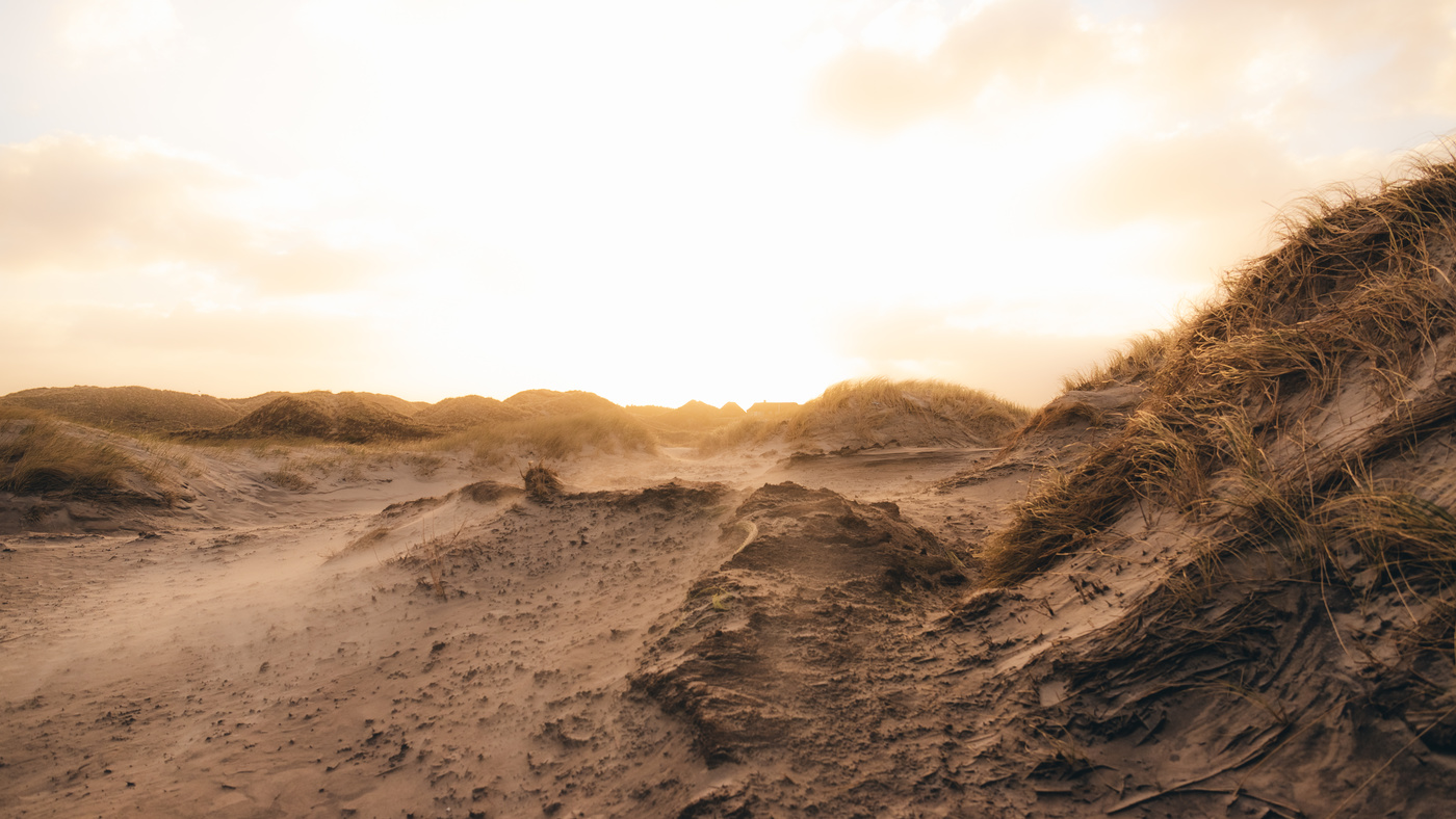 Sonnenaufgang in den Dünen Dänemarks