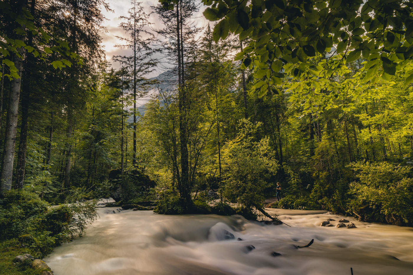 Schwanger im Zauberwald