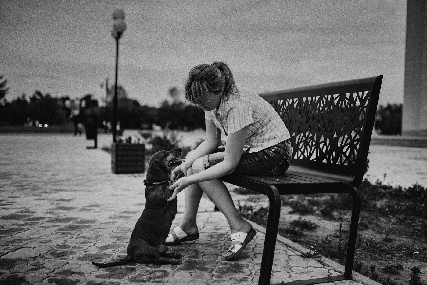 Dame mit dem Hündchen