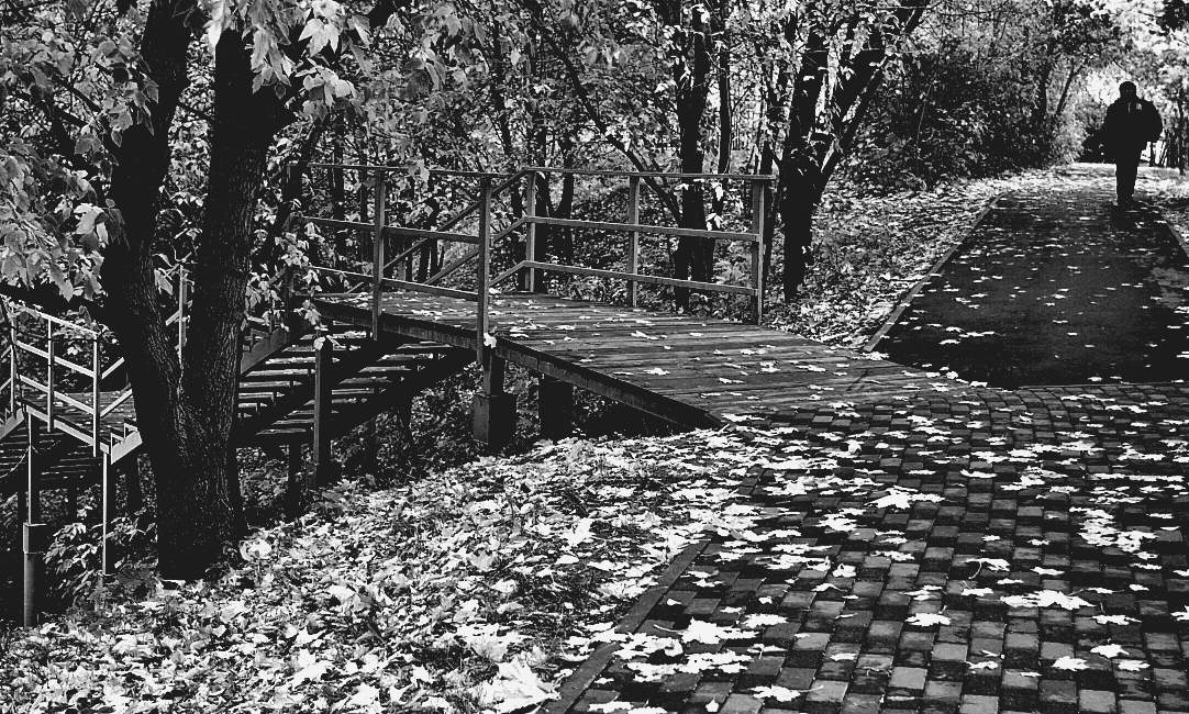 Der Herbst ist da und kommen ...