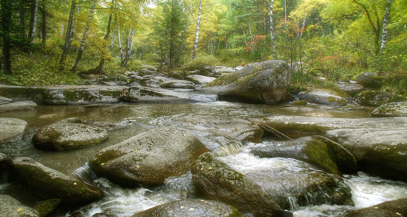 Unter den Steinen ...