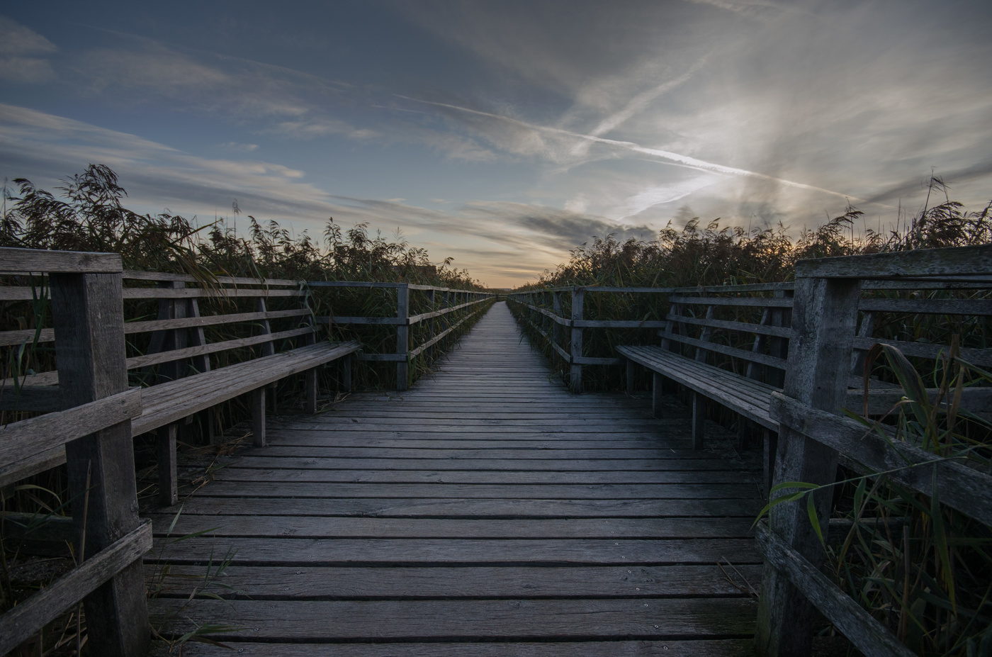Der Steg durchs Moor