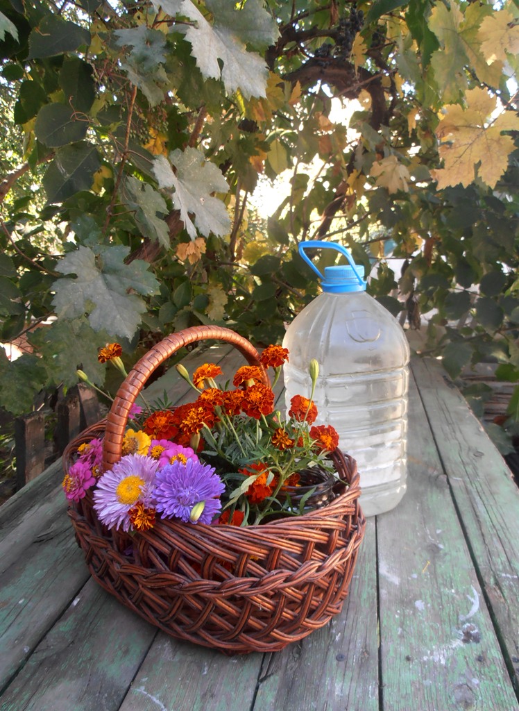 Autumn Still Life