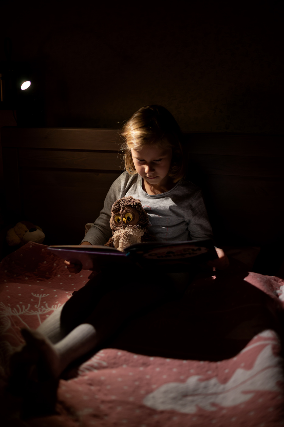 Bei Einbruch der Nacht