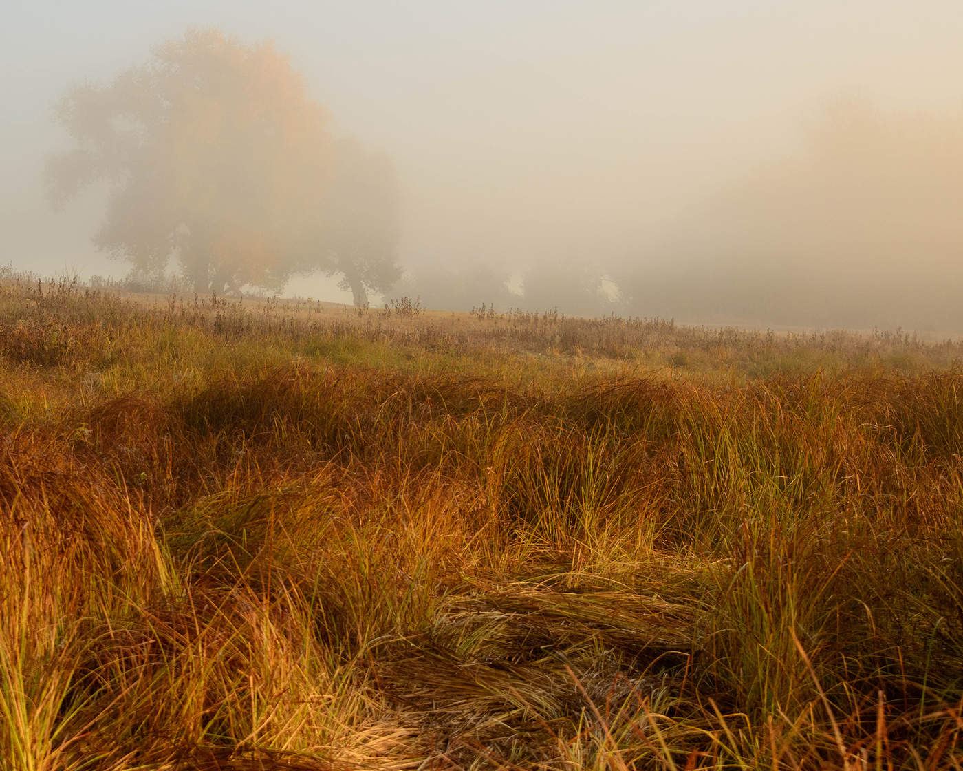 Der Geruch des Herbstes