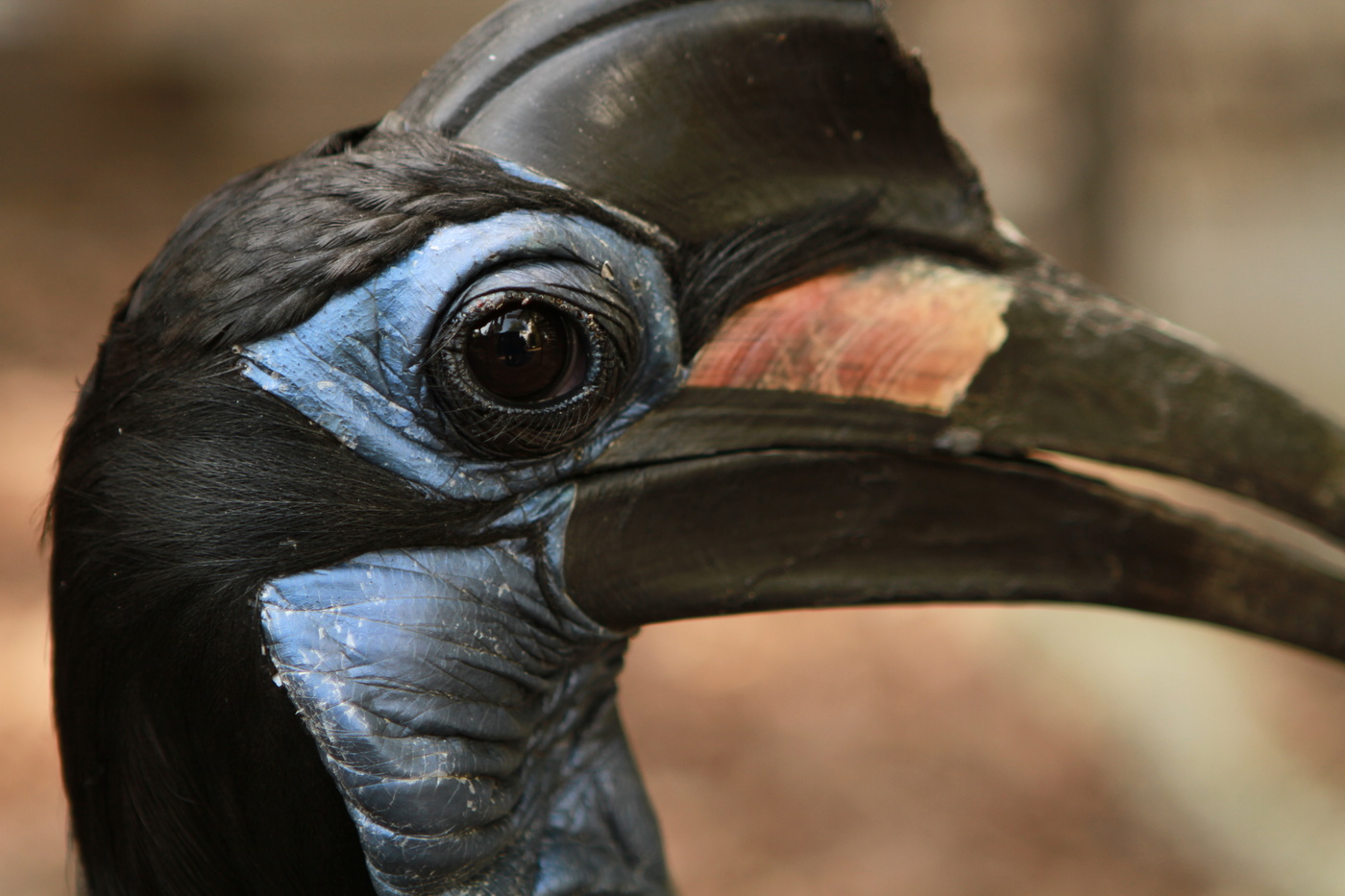 Mit einem Auge um Auge