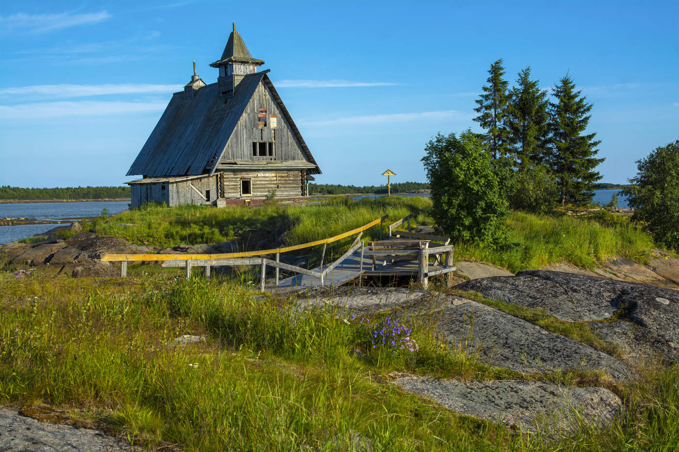 Und auf dem Stein wachsen die Blumen ...