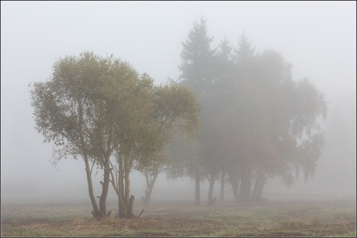 Der Geruch des Herbstes