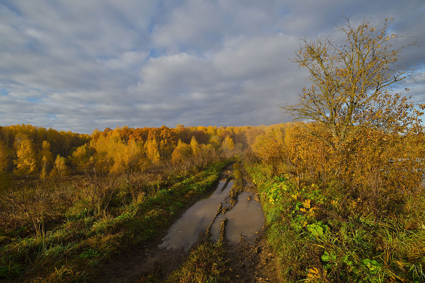 Straße zum Herbst