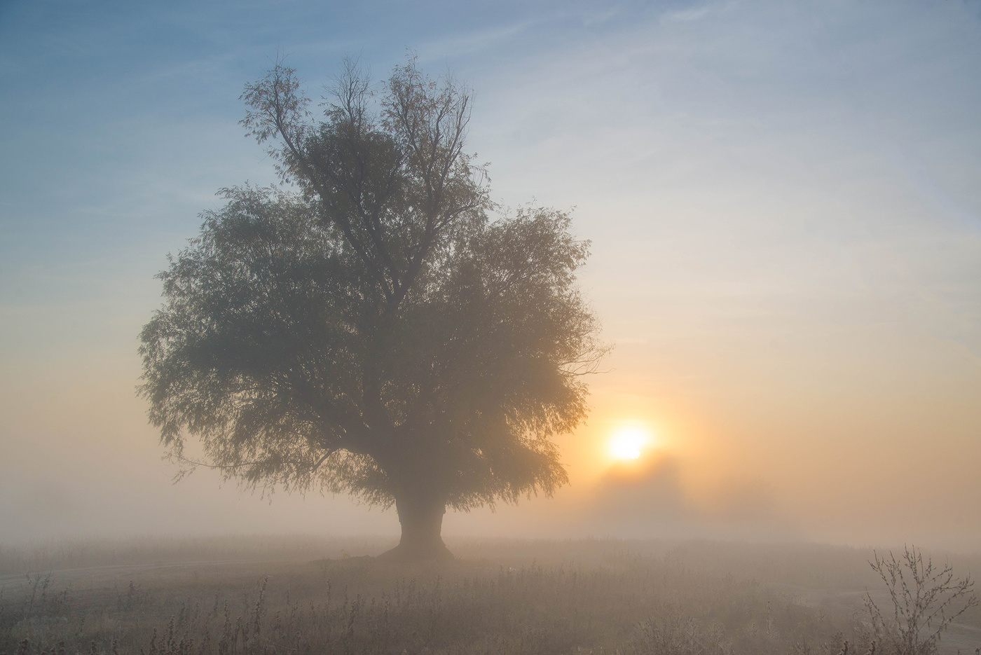 Herbst Morgendämmerung