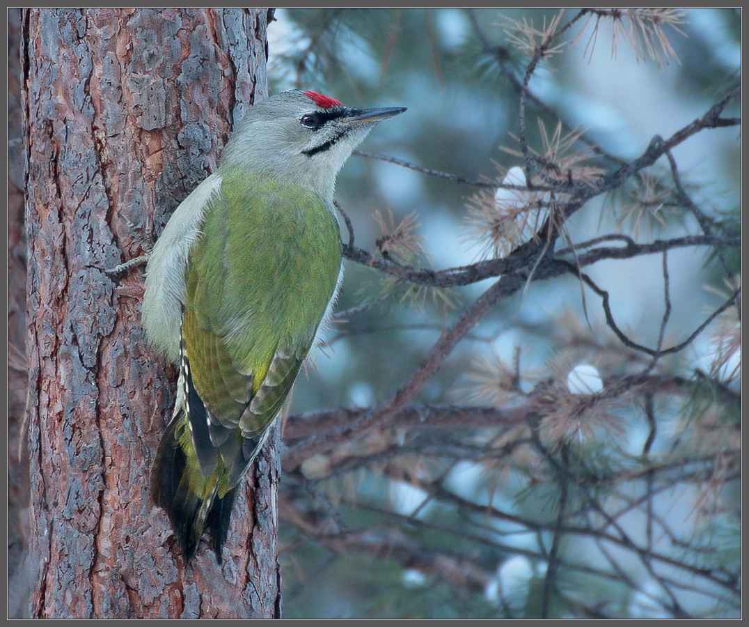 in den frühen Morgenstunden