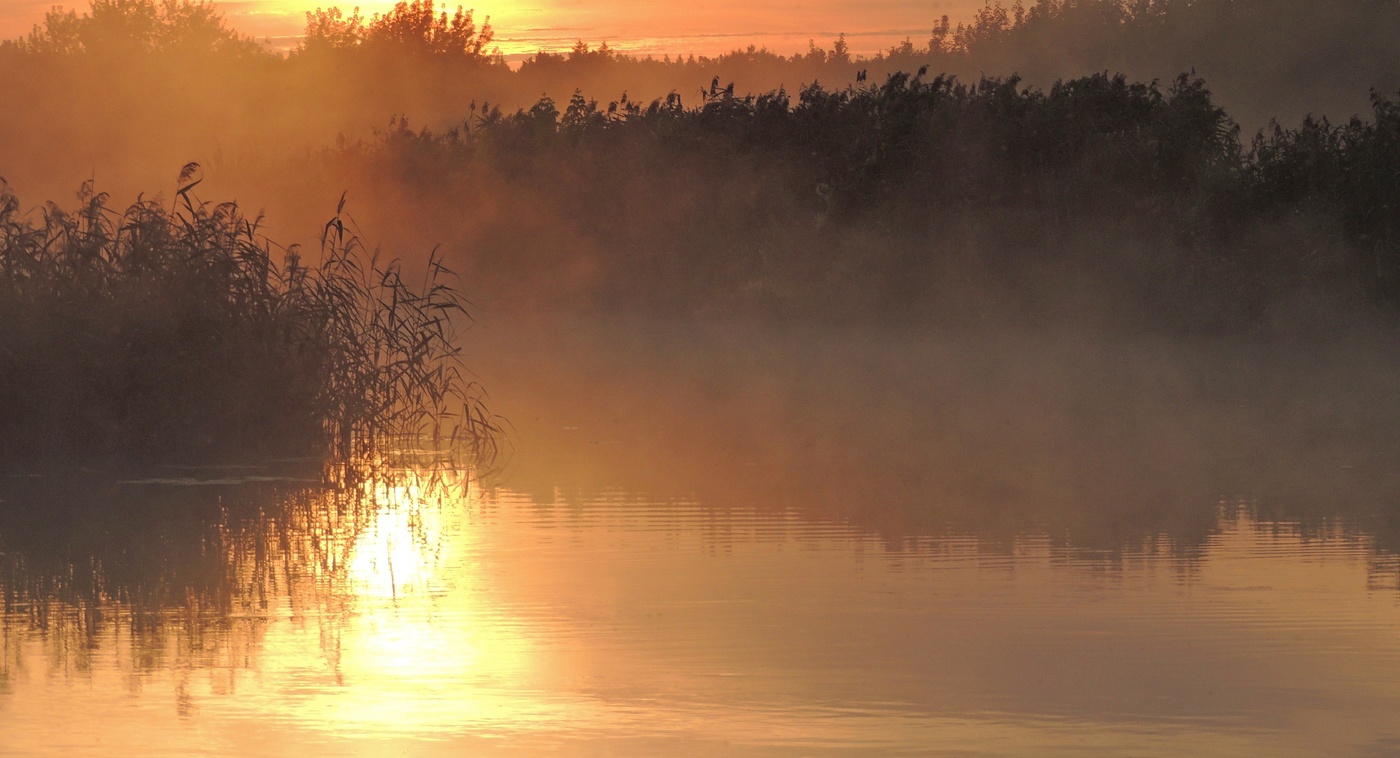 in den herbstlichen Wald
