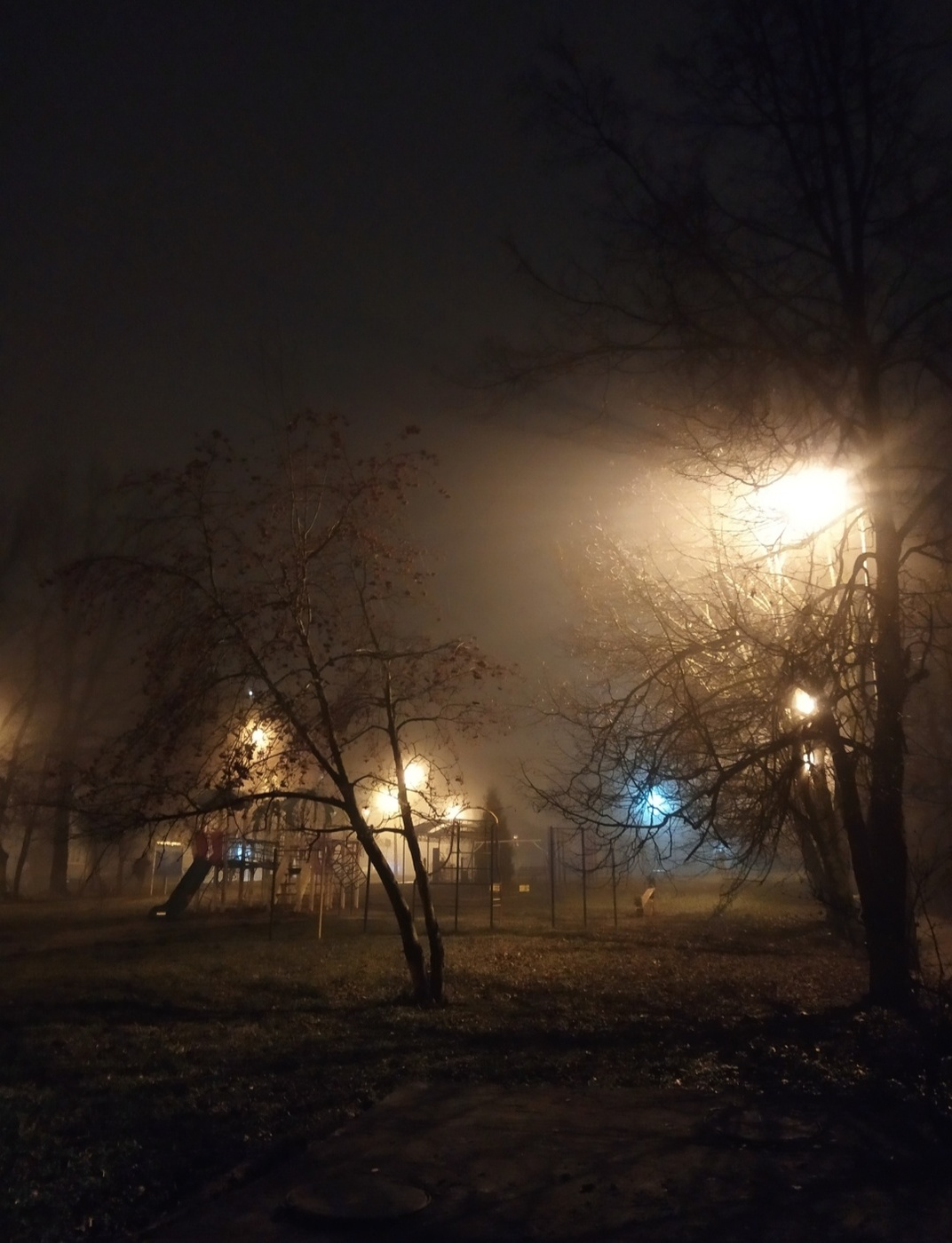 Foggy Abend ...