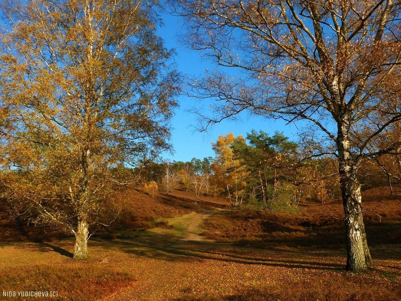 Fischbeker Heide Hamburg