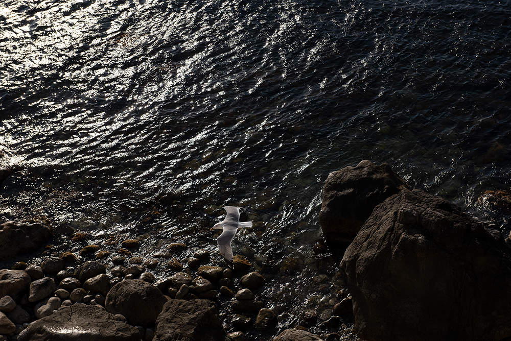 Flying Realität ...