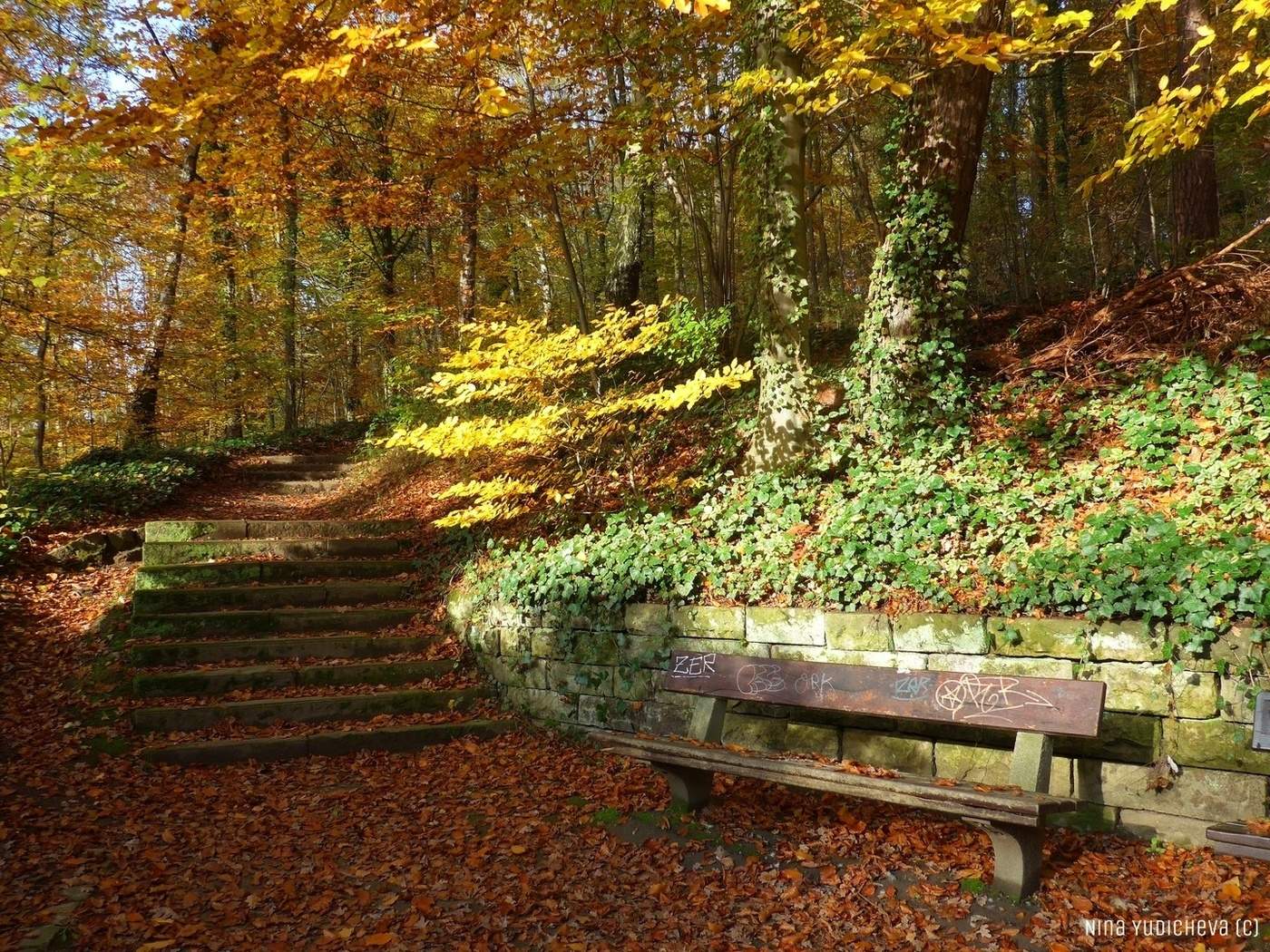 Harburger Stadtpark & Außenmühlenteich Hamburg