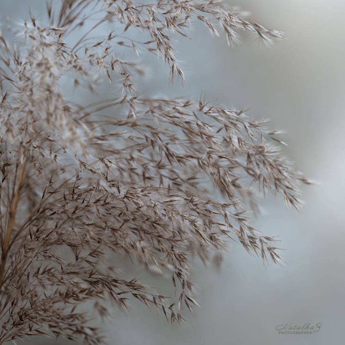 Premonition des Winters