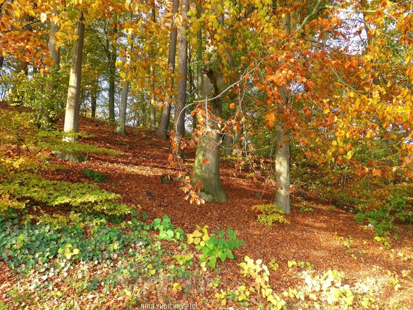 Harburger Stadtpark & Außenmühlenteich Hamburg