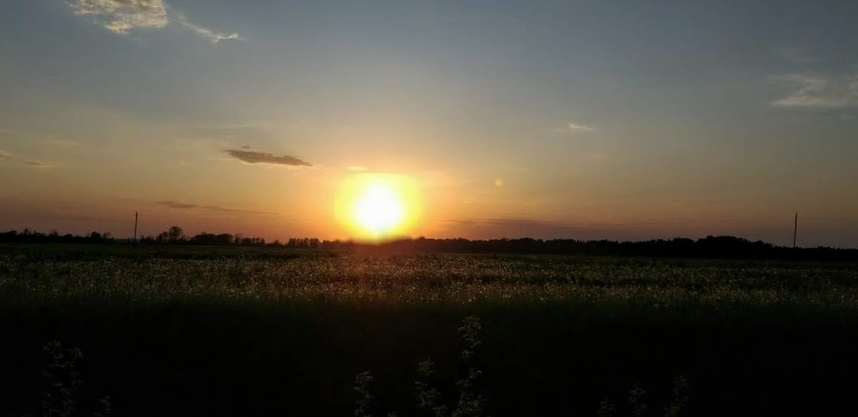 Die August-Rückgang