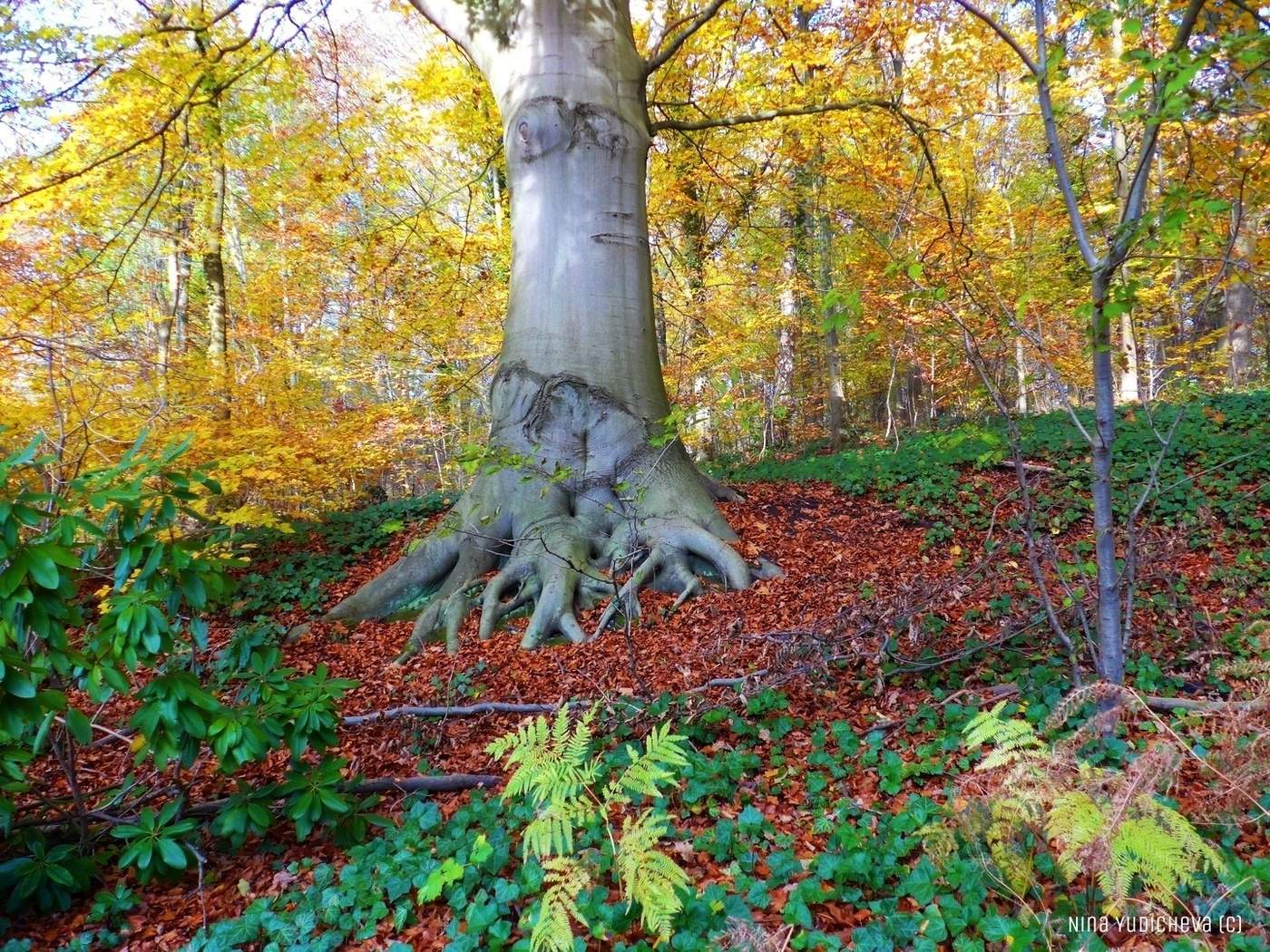 Harburger Stadtpark & Außenmühlenteich Hamburg