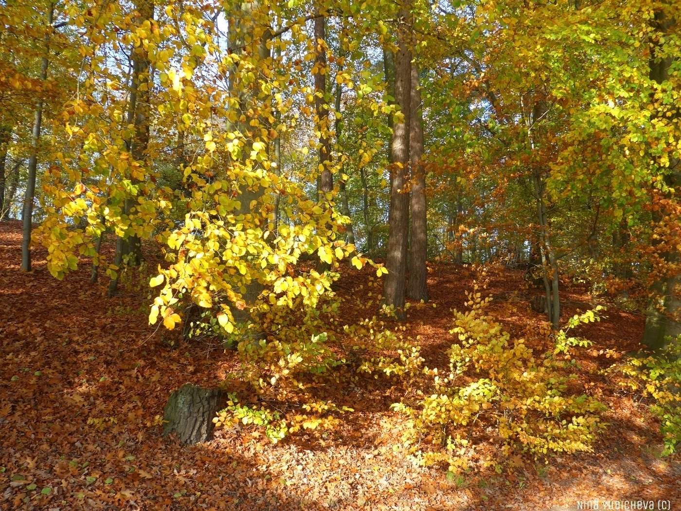 Harburger Stadtpark & Außenmühlenteich Hamburg