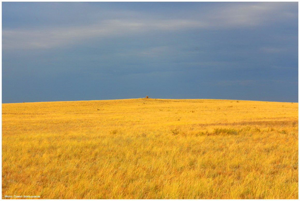Steppe