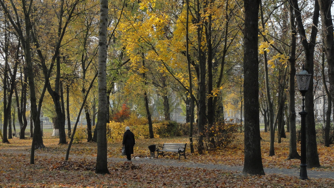 Im Herbst Park