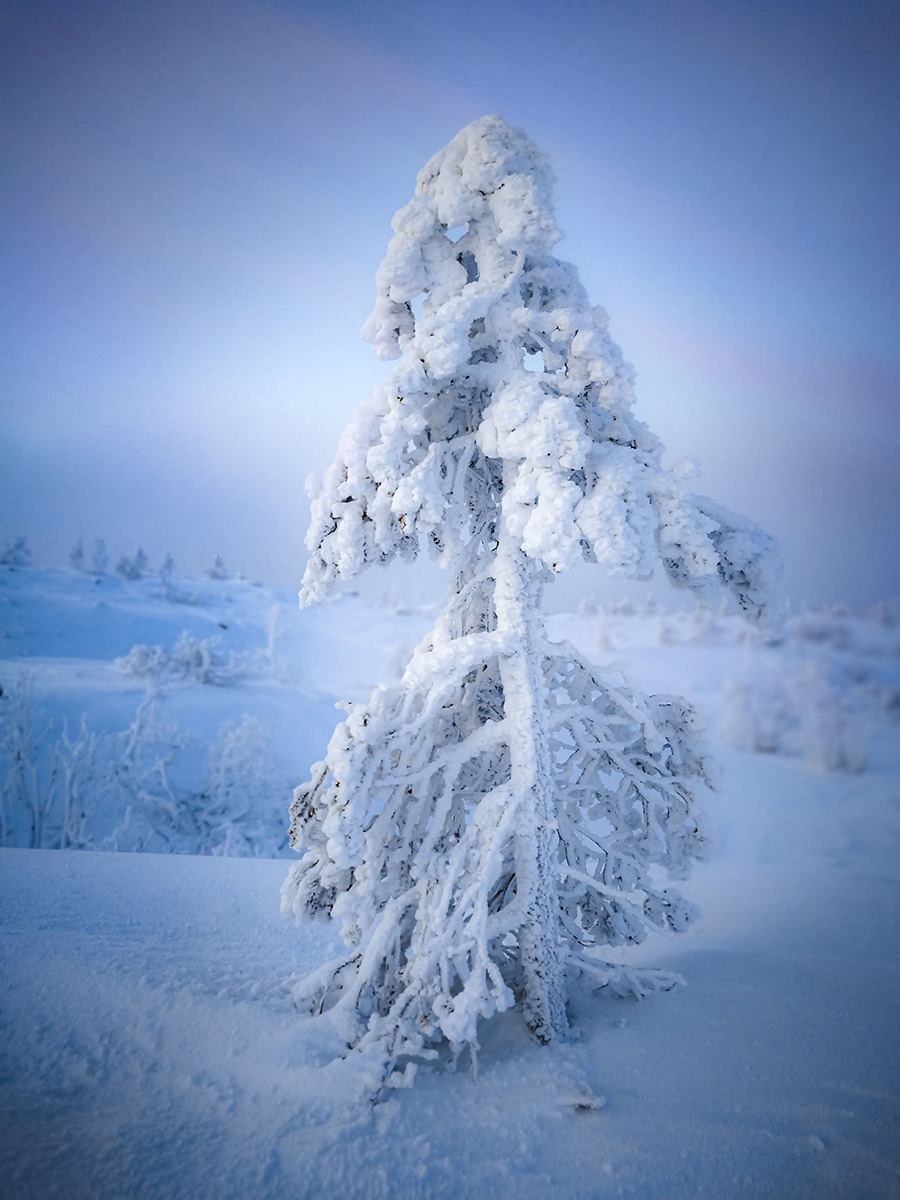 Der erste Tag des Winters