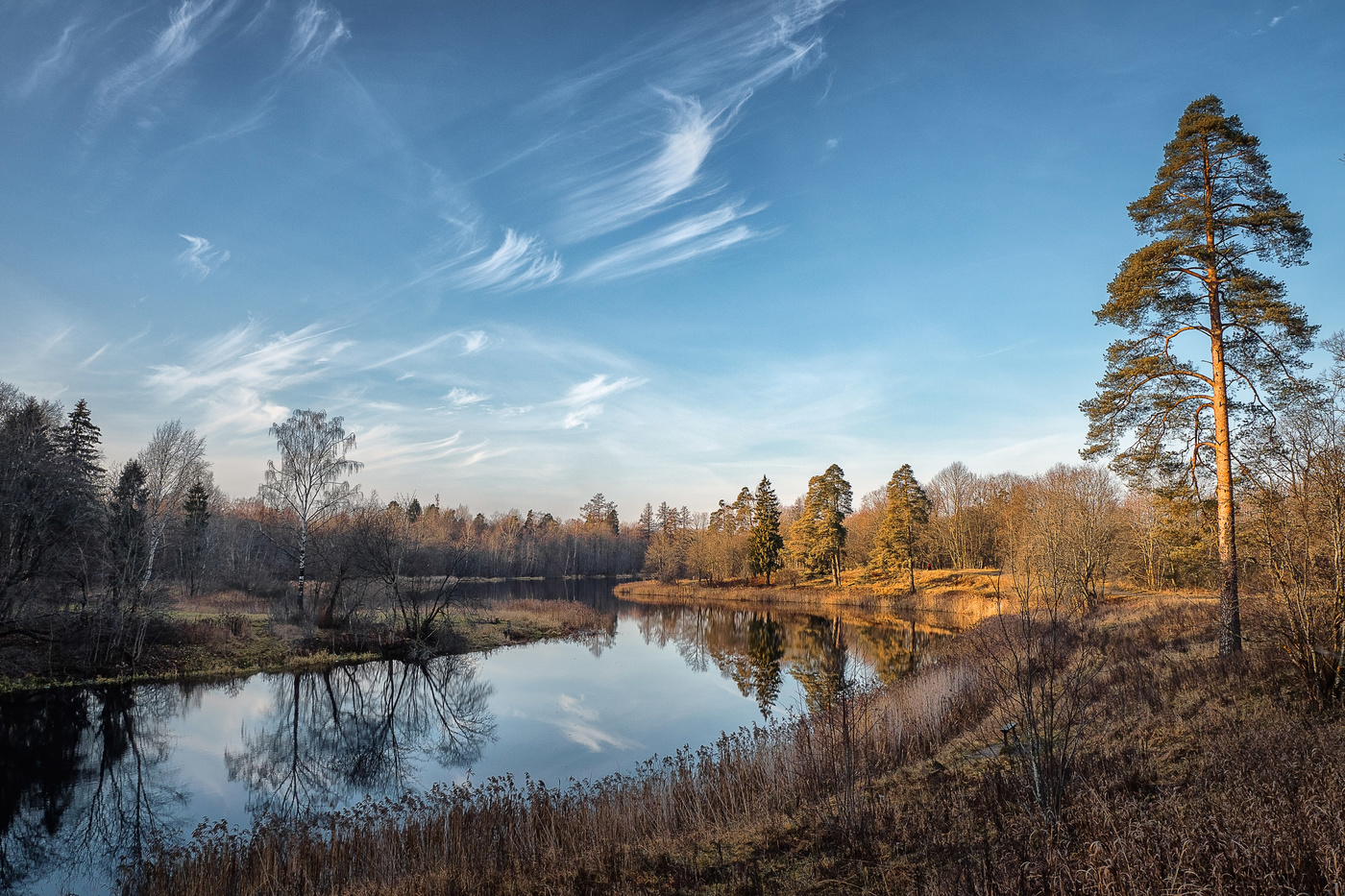 The November landscape. Gatchina. Russia.
