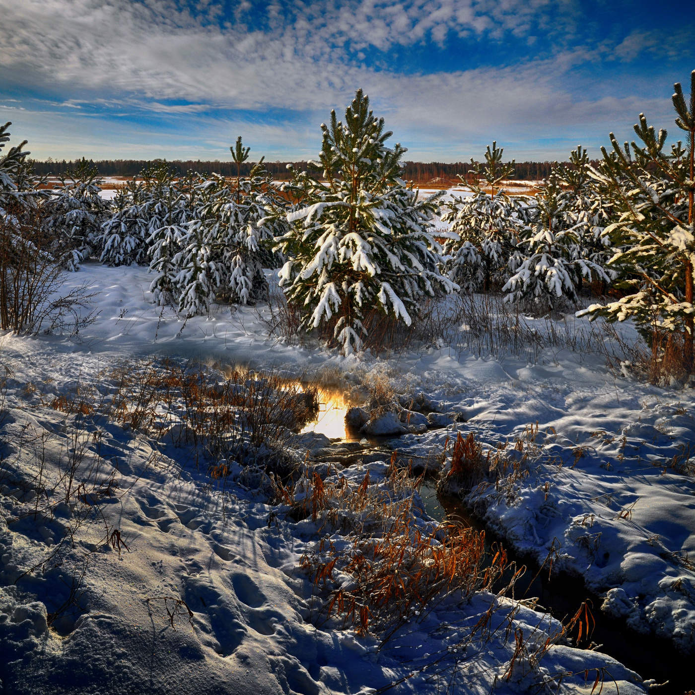 Nach einem Schneesturm