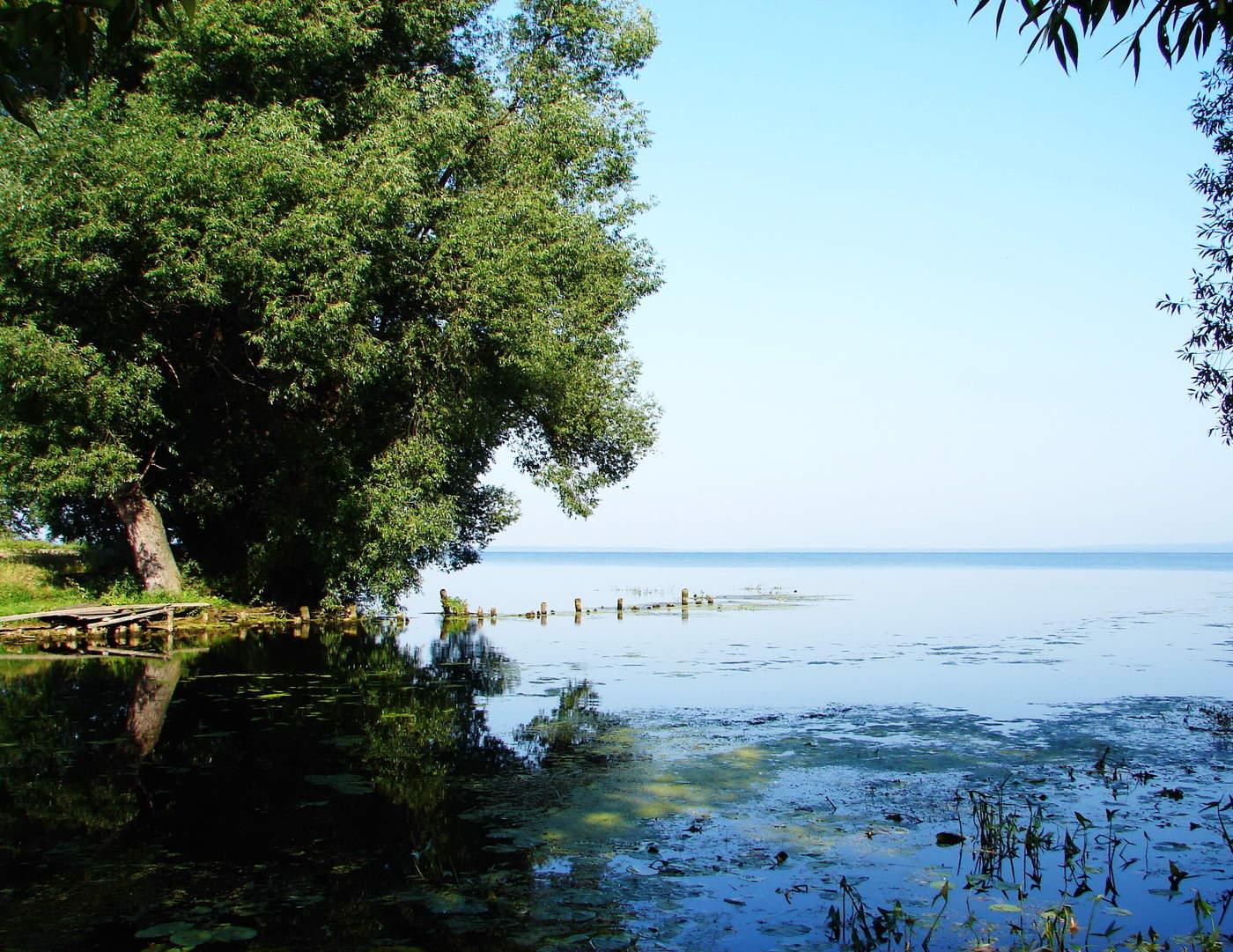 Erinnerungen an den Sommer