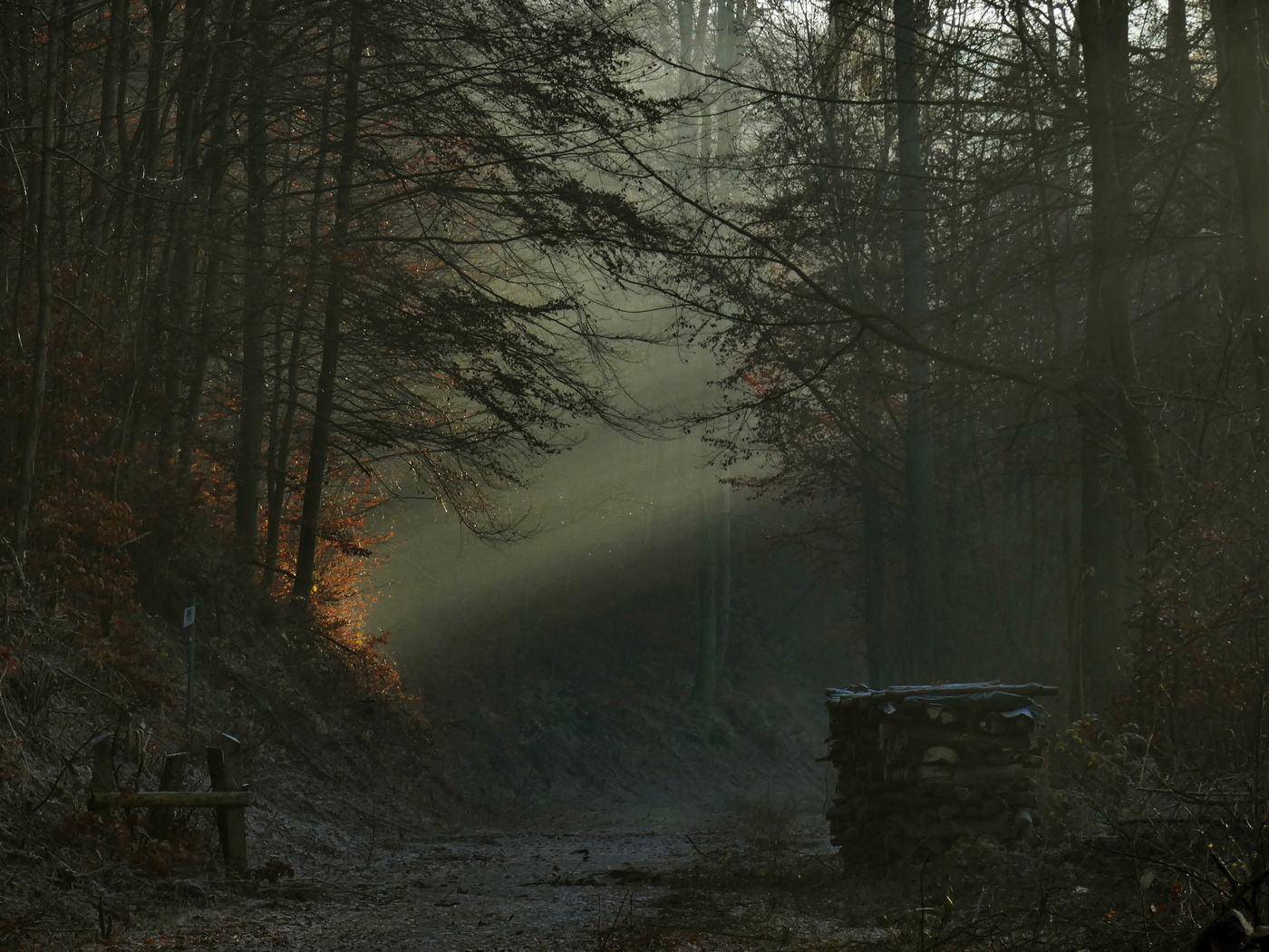 ein letzter Gruß der Sonne