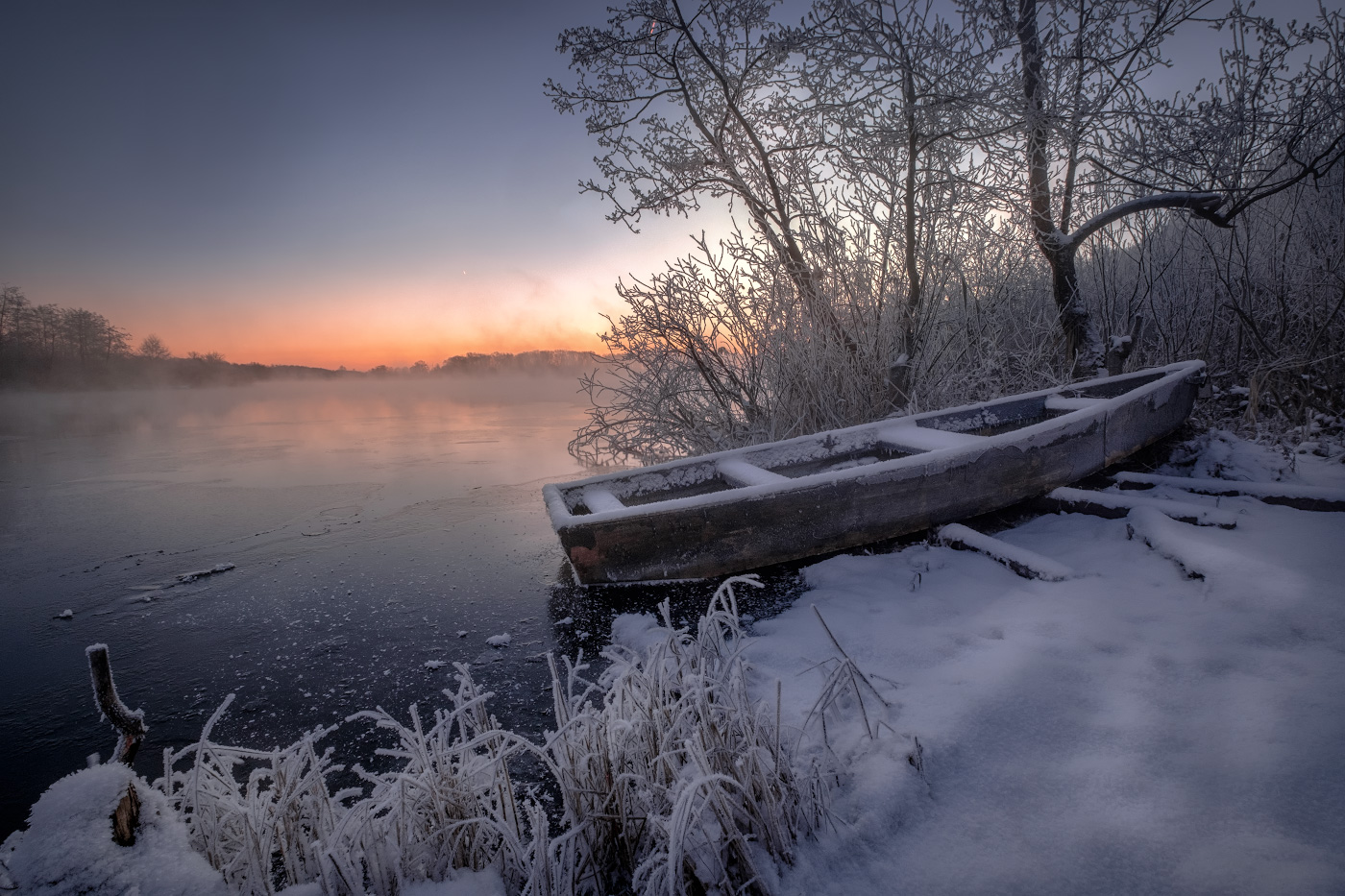 In der frostigen Nebel