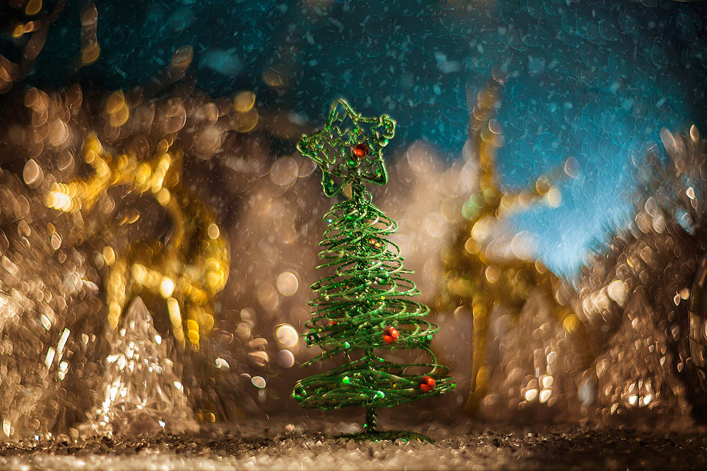 Der Urlaub kommt zu uns ...