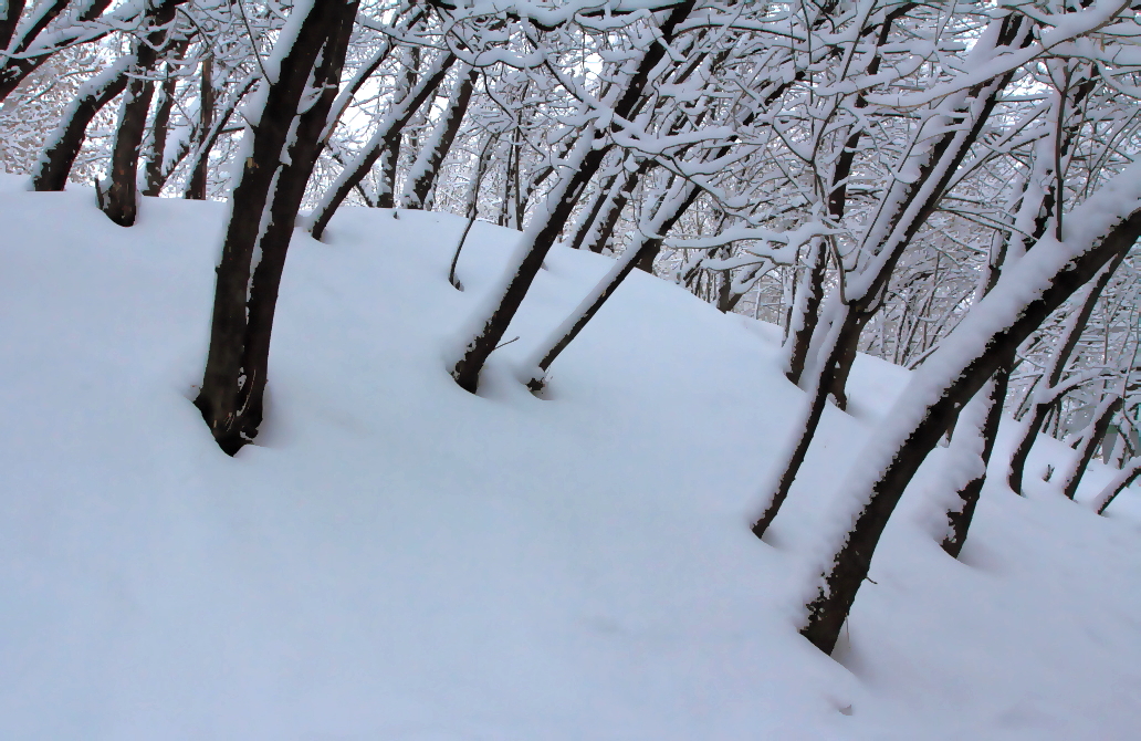 Sonnenuntergang im Winter